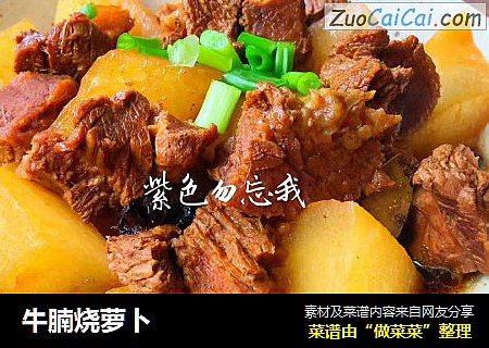 牛腩烧萝卜