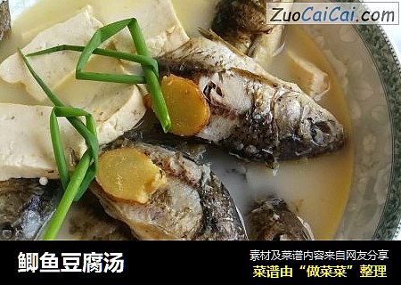 鲫鱼豆腐汤