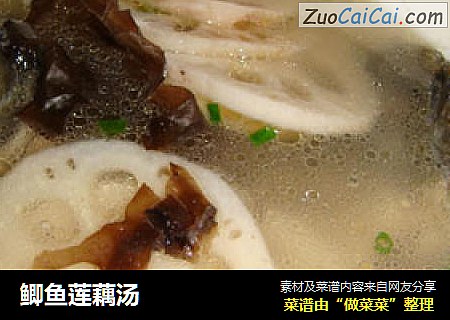 鲫鱼莲藕汤