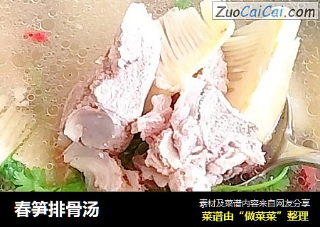 春笋排骨汤