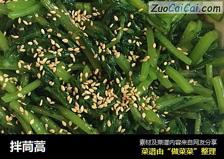 拌茼蒿