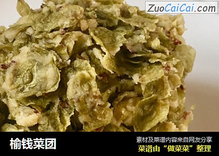 榆钱菜团