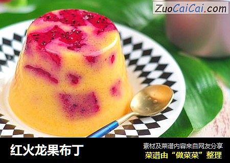 红火龙果布丁