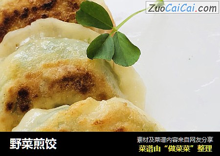 野菜煎饺