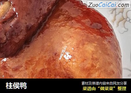 柱侯鸭