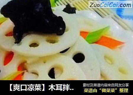 【爽口凉菜】木耳拌莲藕