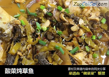 酸菜炖草鱼