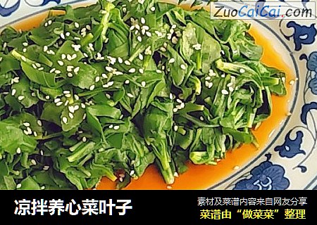 凉拌养心菜叶子