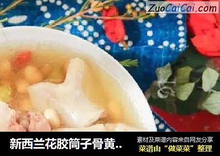 新西兰花胶筒子骨黄豆苦瓜汤