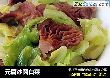 元蘑炒圆白菜
