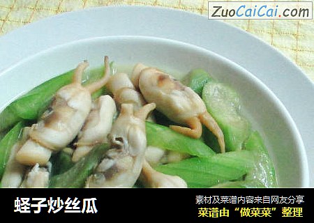 蛏子炒丝瓜
