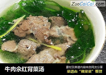 牛肉氽红背菜汤
