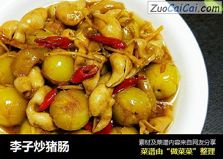 李子炒猪肠