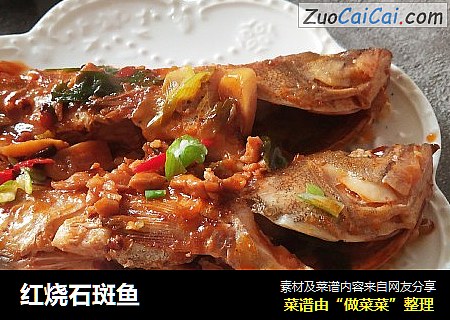 红烧石斑鱼