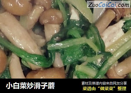 小白菜炒滑子蘑