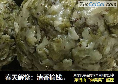 春天解馋：清香榆钱窝窝头