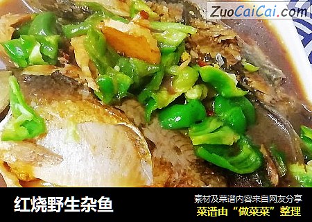 红烧野生杂鱼