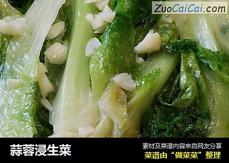 蒜蓉浸生菜