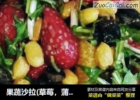 果蔬沙拉(草莓，蒲公英等)