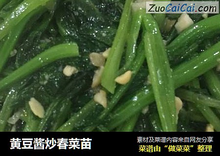 黄豆酱炒春菜苗