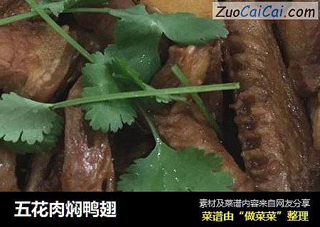 五花肉焖鸭翅