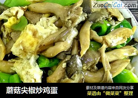 蘑菇尖椒炒鸡蛋