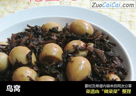 鸟窝