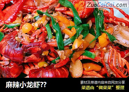 麻辣小龙虾??