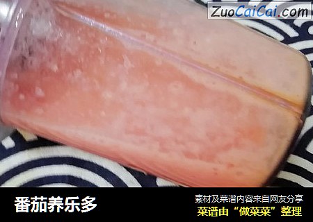 番茄养乐多