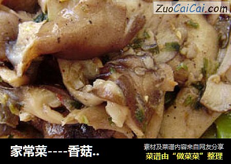 家常菜----香菇烧豆角