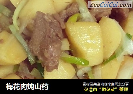 梅花肉炖山药