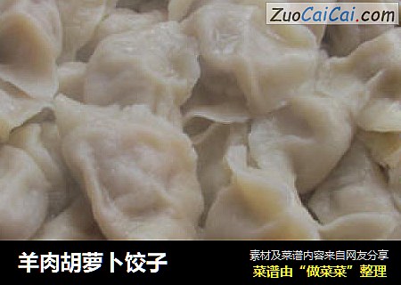 羊肉胡萝卜饺子