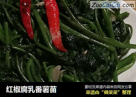 红椒腐乳番薯苗