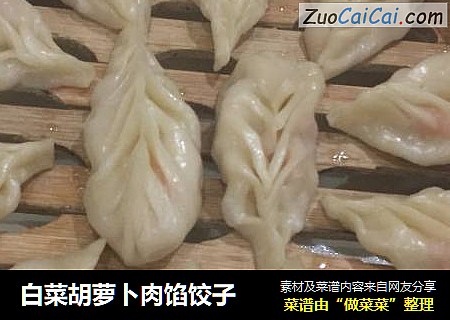 白菜胡萝卜肉馅饺子