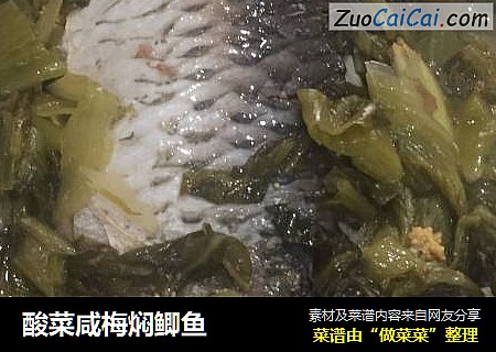 酸菜咸梅焖鲫鱼