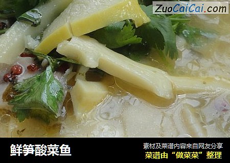 鲜笋酸菜鱼
