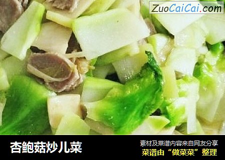 杏鲍菇炒儿菜