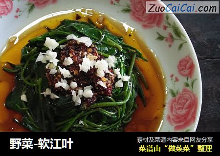 野菜-软江叶