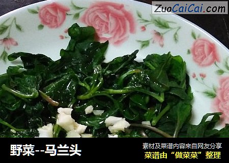 野菜--马兰头