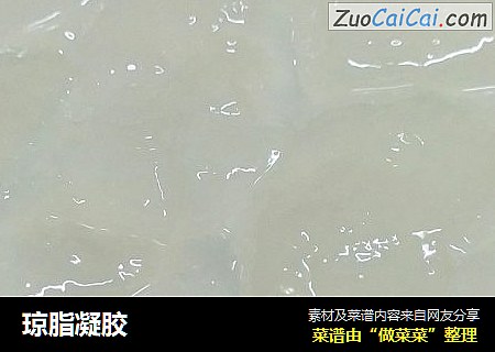 琼脂凝胶