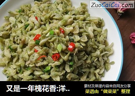 又是一年槐花香:洋葱苗炒槐花