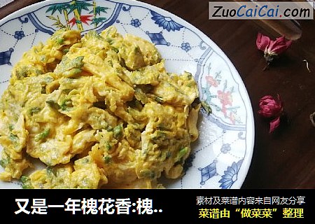 又是一年槐花香:槐花炒鸡蛋