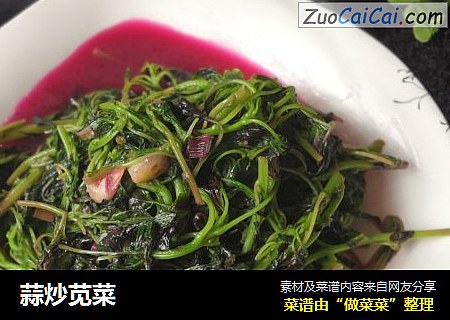 蒜炒苋菜