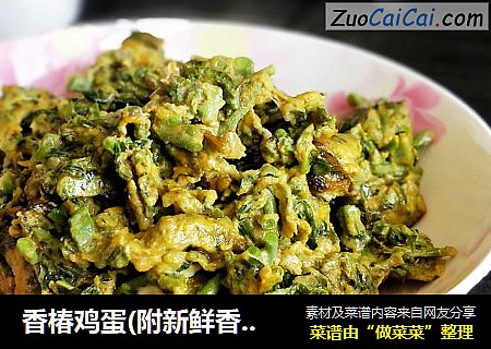 香椿鸡蛋(附新鲜香椿的保存方法)