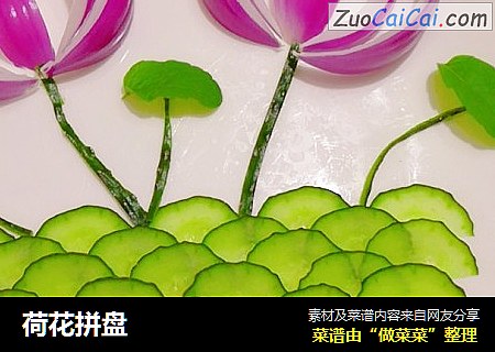 荷花拼盘