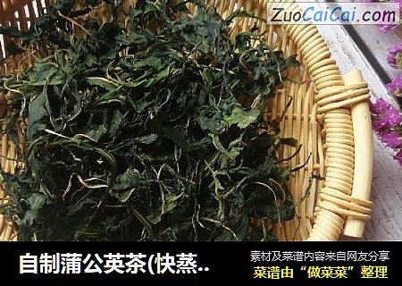 自制蒲公英茶(快蒸晾晒法)