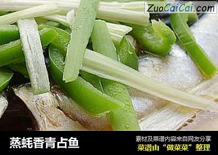 蒸蚝香青占鱼