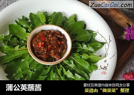 蒲公英蘸酱