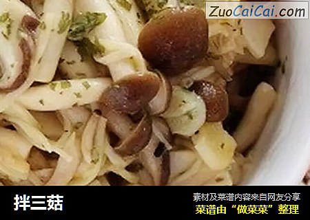 拌三菇