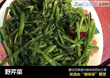 野芹菜